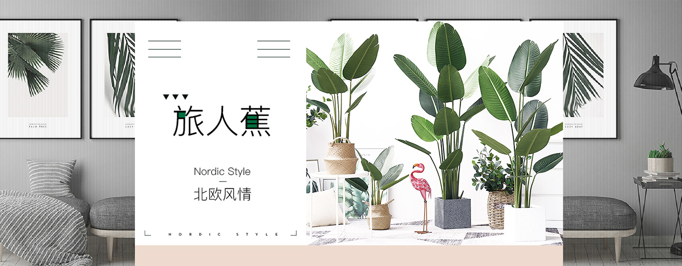 新品上市