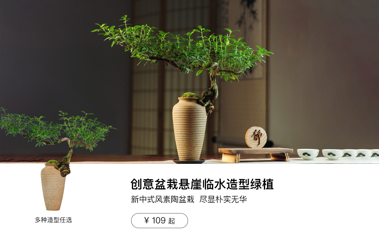 爆款单品