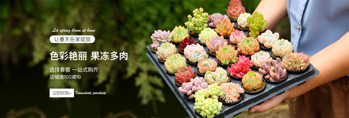 生鲜绿植旗舰店