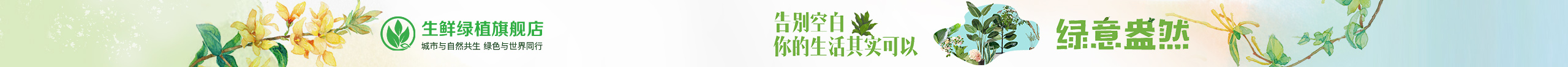 生鲜绿植旗舰店